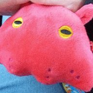 名無しのヴァイオリニスト(ななと)さんのアイコン画像