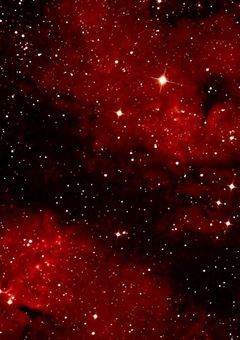 穢れを喰む、神に至る