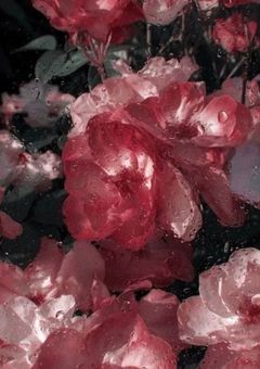 派遣メイドに恋始めました