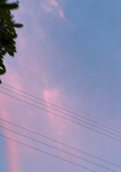 我宅の都道府県たち（？？？？）