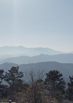 うちのOCたちを見てくれ😊