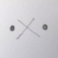 お偽善様さんのアイコン画像