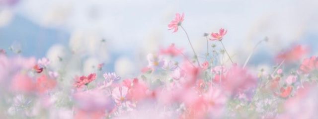 眠り魔🌕さんの壁紙画像