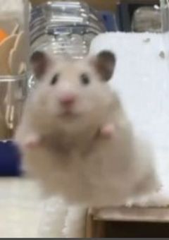 むーちゃん専用勉強部屋