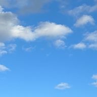 くろねこのしゅみさんのアイコン画像