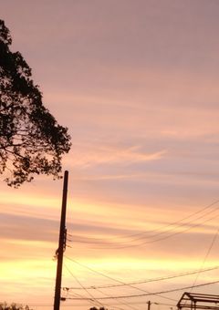 蘭ちゃん専用部屋