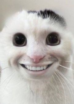 《相互限定》雑談&実写部屋