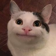 とわさんのアイコン画像