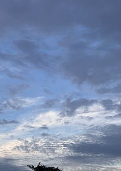 　▶︎ 日記