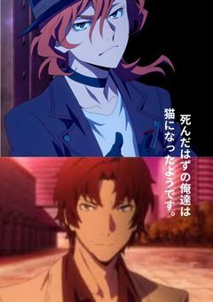 死んだはずの俺達は猫になったようです。