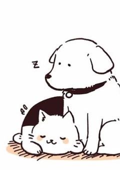【好きな人】うちの犬と猫は超ご主人様命（？）