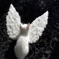 海月🪼🫧さんのアイコン画像