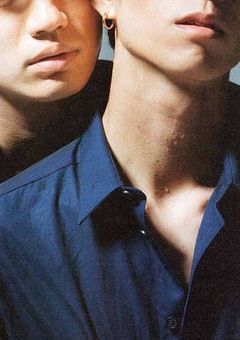 ペット　、さすがにツンデレ過ぎました　。