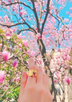 今日もはちゃめちゃ、歌い手学園！