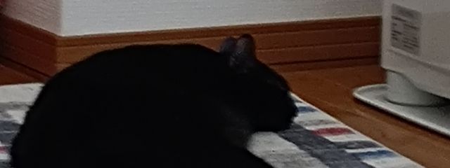 くろさんの壁紙画像