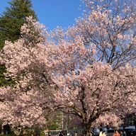 すーさんのアイコン画像