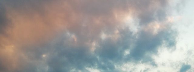 🦊さんの壁紙画像