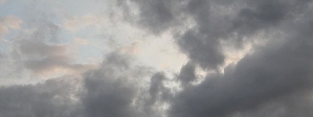 葛さんの壁紙画像