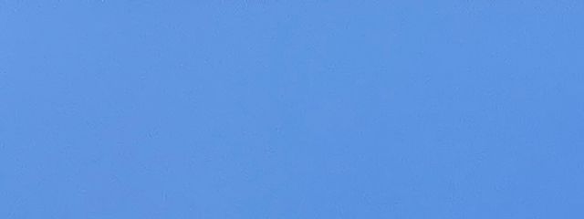 トリさん🦆🦉さんの壁紙画像