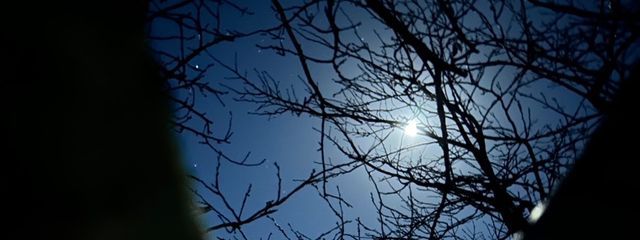 たこ焼きマンさんの壁紙画像