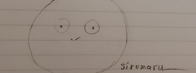 siromaru＿さんの壁紙画像
