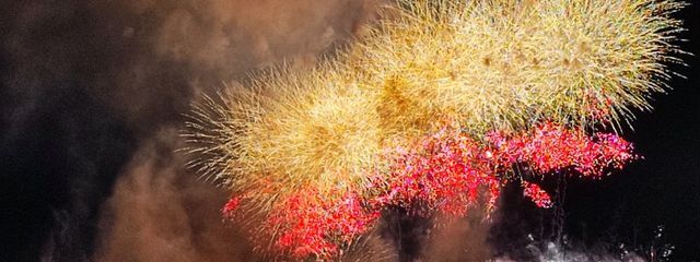 みぃ🐱💙さんの壁紙画像