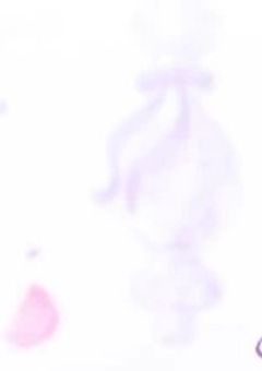 私はまふゆじゃない。雪よ！ ~お母さんは捨てました...でも、誰かが招待してる！？~