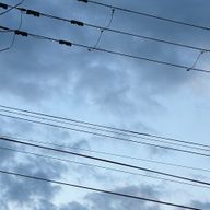 虹苺さんのアイコン画像