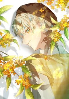 恋の行方は蜂蜜のように