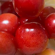 おれしさんのアイコン画像