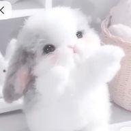 kさんのアイコン画像