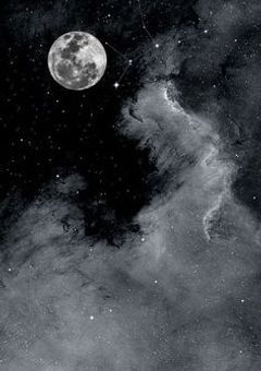 自殺寸前、私は2j3jに拾われた