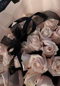 女の子の日(aoen)