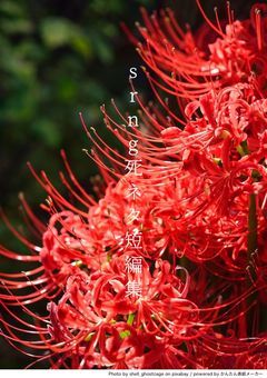 srng死ネタ短編集