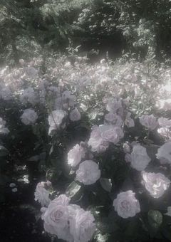 お知らせ。