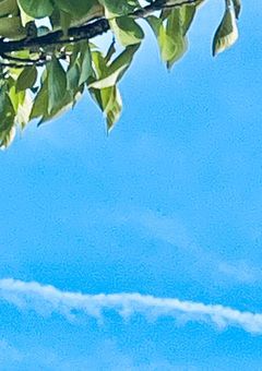 自己紹介ᕱ⑅ᕱﾞ