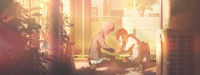 AYA フォロバ100さんの壁紙画像