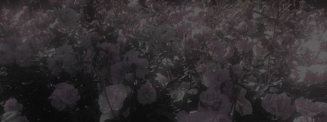 一ノ瀬 .さんの壁紙画像