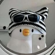 無性別ﾁｬﾝ🖤  ペア画  不定期投稿さんのアイコン画像