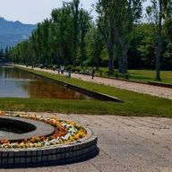 みぃさんのアイコン画像