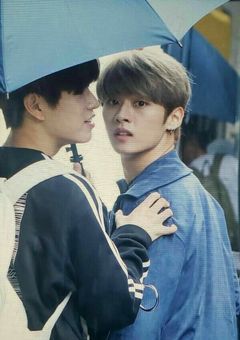 し て は い け な い 恋 .