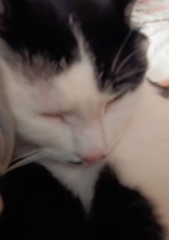 宣伝、雑談など