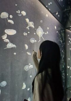 　　　新世界　　　