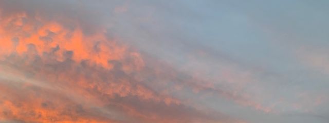 ひまわりさんの壁紙画像