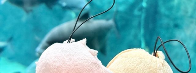 天楽さんの壁紙画像