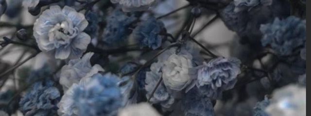 和食🍶さんの壁紙画像