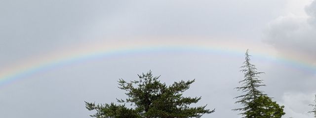 夜神 李兎さんの壁紙画像