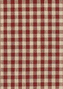 ヒーロー嫌いの女の子は護衛中