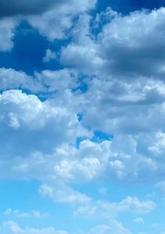 君がいないこの世界で、僕は今日も本を読む