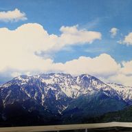 🐥１空.大好きですさんのアイコン画像